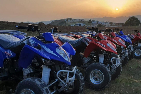 Hammamet: Camel Ride, Lunch, and Quad Biking Tour