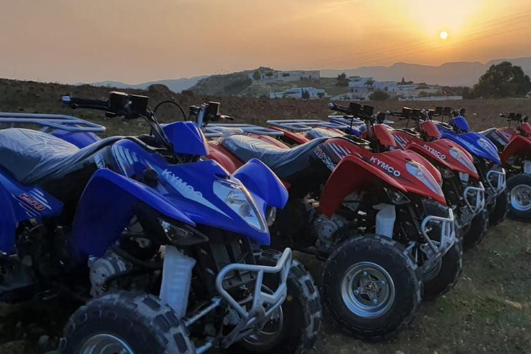 Hammamet: Camel Ride, Lunch, and Quad Biking Tour