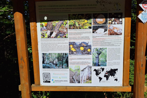 Sarajevo: Skakavac Waterfall Hike with Picnic & Coffee