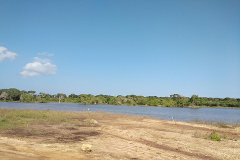 Passeio de safári no Parque Nacional de Yala saindo de Colombo / Galle