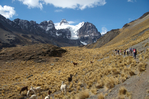 La Paz: 2-Days Pico Austria Andes Trekking Tour with Camping