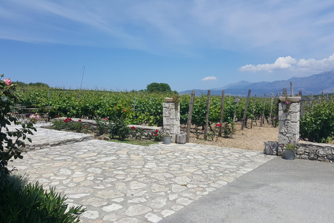 Die Tagestour zur Weinlese in Chania