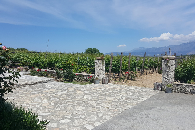 Die Tagestour zur Weinlese in Chania