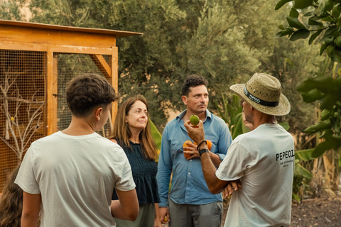 Gran Canaria: Agüimes, Gofio Mill &amp; Eco Farm Food Tasting