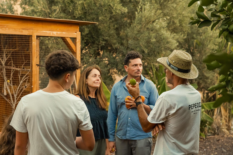 Gran Canaria: Agüimes, Gofio Mill &amp; Eco Farm Food Tasting