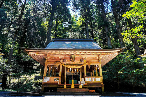 From Fukuoka: Miyazaki, Takachiho Gorge and Shrines Day Tour