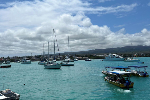 Santa Cruz: Kayaking and Snorkeling Adventure in Academia Bay
