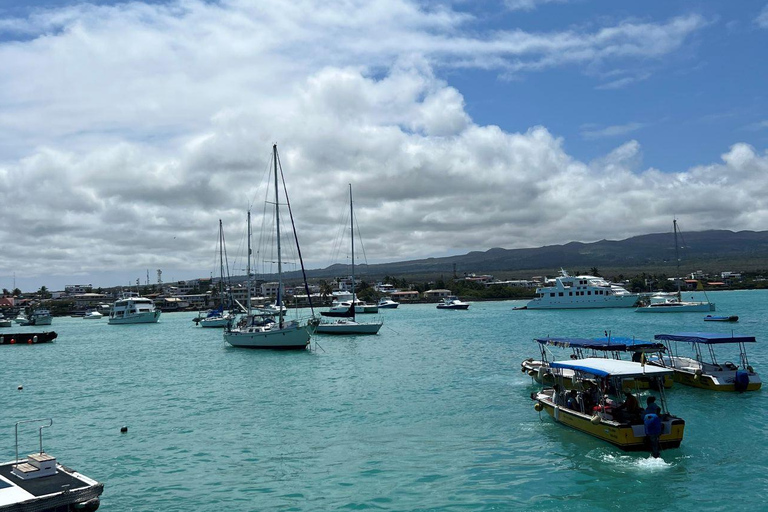 Santa Cruz: Kayaking and Snorkeling Adventure in Academia Bay