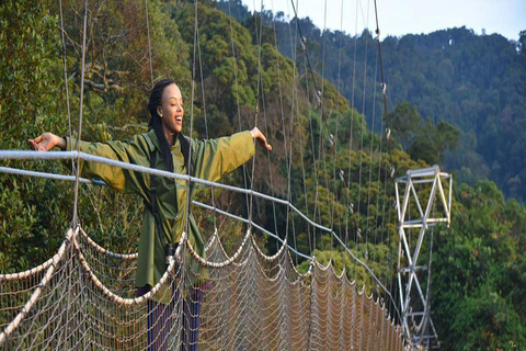 Kigali: Lake Kivu & Nyungwe National Park 2-Day Tour