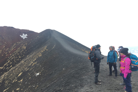 Depuis Syracuse : Tour de l'Etna avec déjeuner léger et dégustation de vin