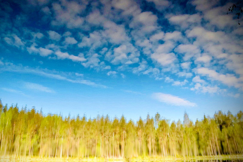 Vijf zintuigen ontwaken in de Finse natuur (+traditionele sauna)