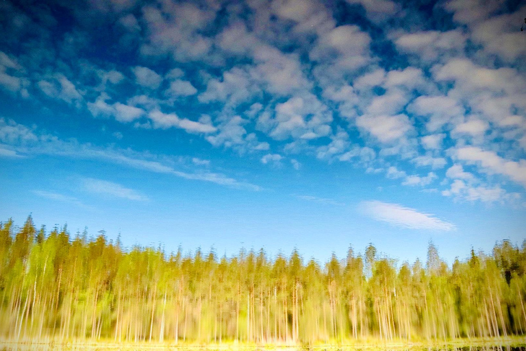 Erwecken der fünf Sinne in der finnischen Natur (+traditionelle Sauna)