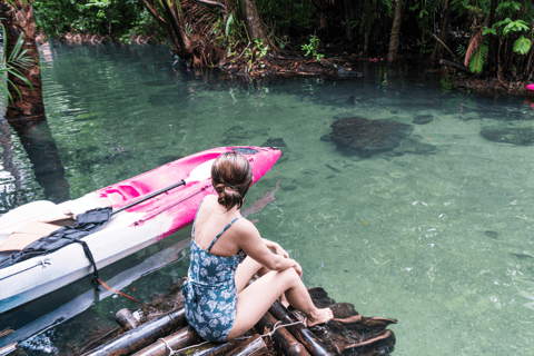 Krabi: South Kayak Klong Root Kayaking Tour Kayaking & Din Daeng Doi