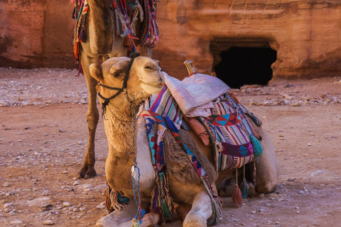 Amman: 4-day, 3-night tour of Jordan 4 days / 3 nights - Discover Jordan in 4 days - 5*