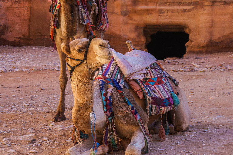 Amman: 4-day, 3-night tour of Jordan 4 days / 3 nights - Discover Jordan in 4 days - 5*