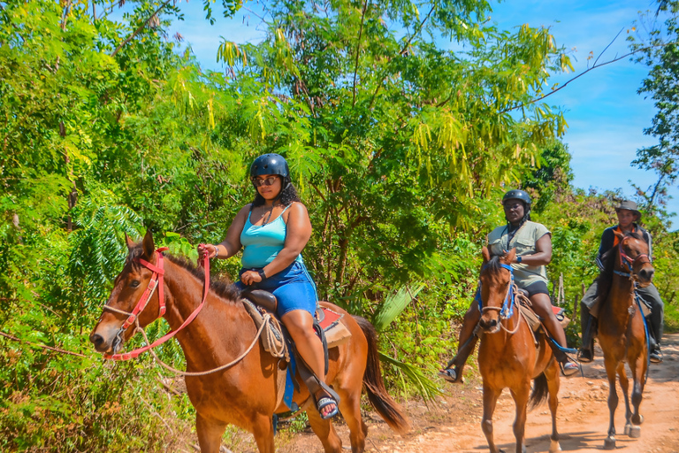 Cavalca nel paradiso: Punta Cana a cavallo sulla spiaggia.Corsa completa