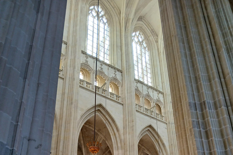 Nantes: 90-minute tour of St. Peter and St. Paul Cathedral with a professional guide