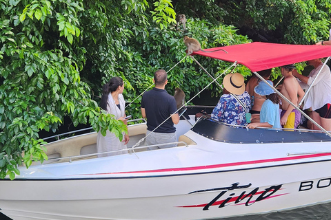 Trou D&#039;Eau Douce: Wycieczka po 5 wyspach Mauritiusa z lunchem/napojami