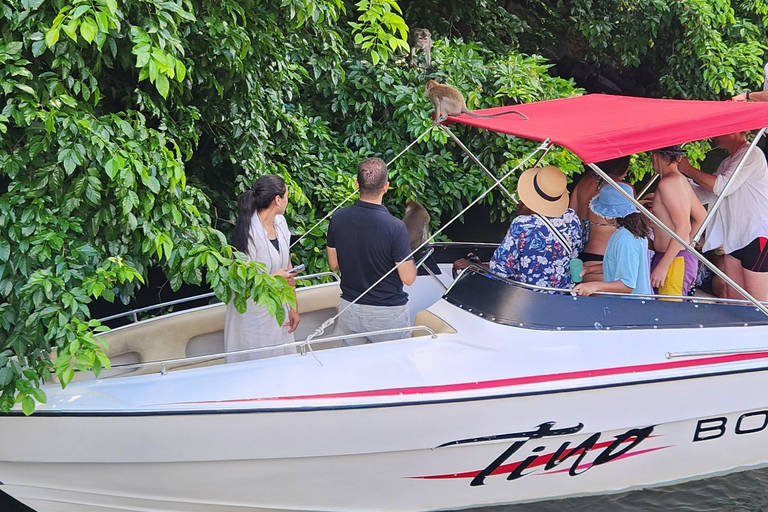 Trou D&#039;Eau Douce: Wycieczka po 5 wyspach Mauritiusa z lunchem/napojami