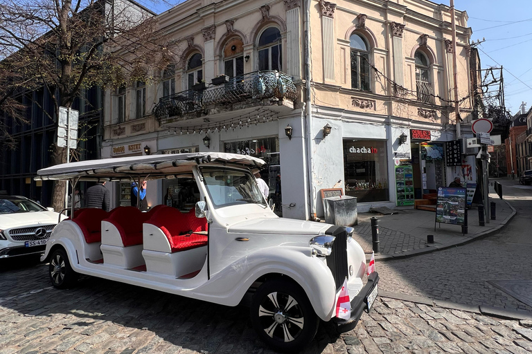Tbilisi: Electric Bus and Boat Tour