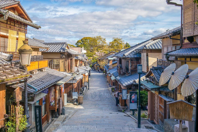 Kyoto: Private Customizable Tour with Driver and Guide