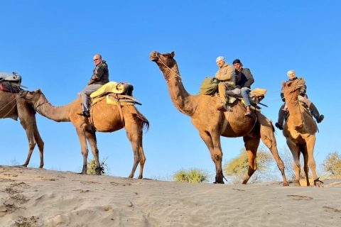 Safari à dos de chameau dans le désert de Jodhpur avec cours de cuisine avec Sumer