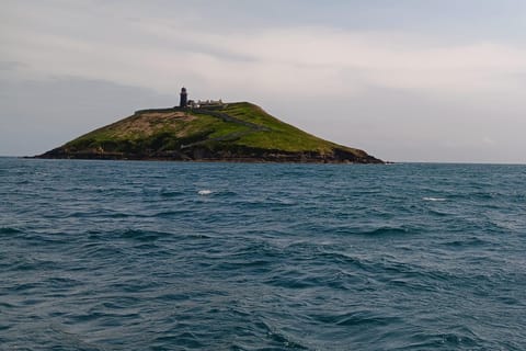 Ballycotton: Lighthouse Guided Tour with Boat Ride - Image 2