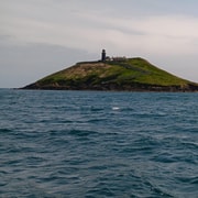 Ballycotton: Lighthouse Guided Tour with Boat Ride