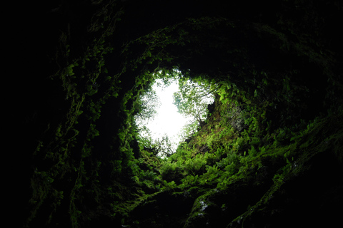 Geologie: privé dagvullende tour