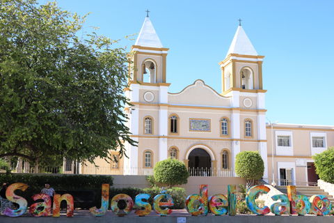 Cabo Encounter with Optional Clear Boat and Lunch