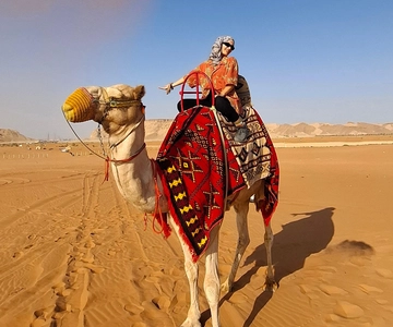 Riyadh: Desert Sand Dunes (VIT-Qude bike + Camel Ride)