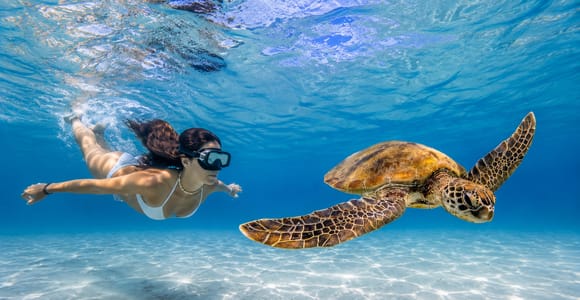 Mauritius: Sea Turtle Adventure and Coral Reef Discovery