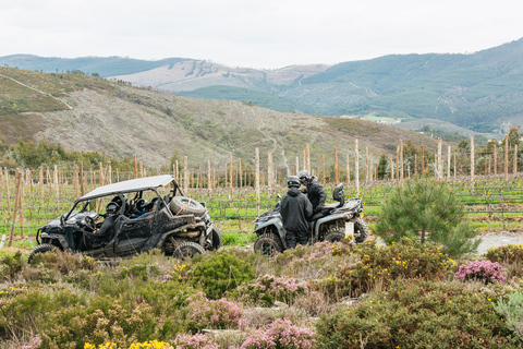 Från Porto: Off-Road Buggy AdventureBuggy 2-sitsig rundtur med upphämtning och avlämning