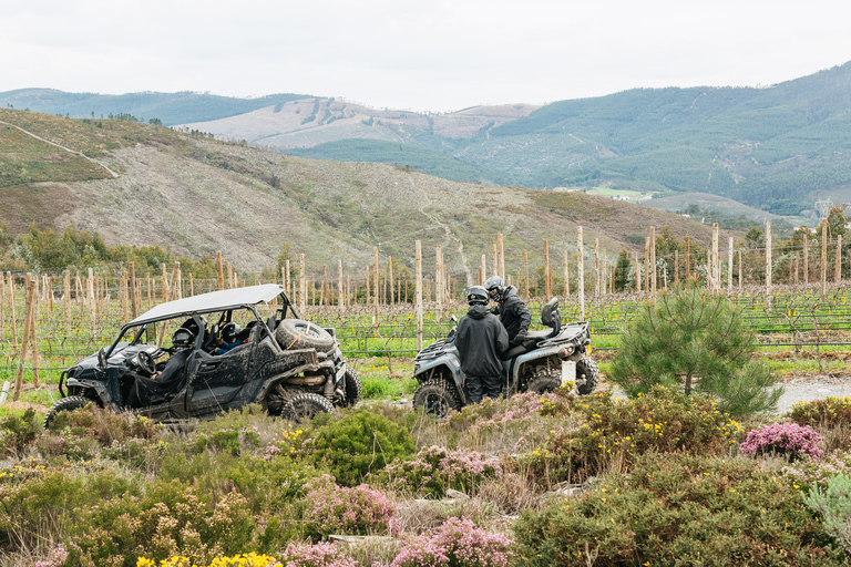 From Porto: Off-Road Buggy Adventure