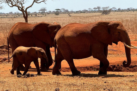 Diani/Mombasa: 2 Days to Tsavo East & Tsavo West with meals