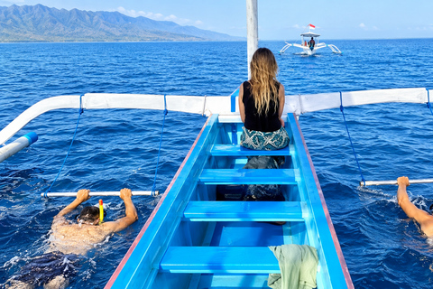 Bali: Lovina Dolphin Watching Boat Tour with Pickup