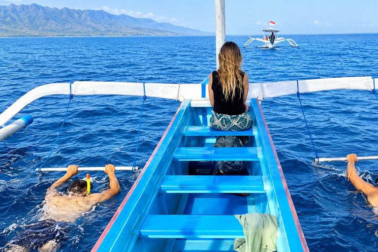 Bali: Lovina Dolphin Watching Boat Tour with Pickup