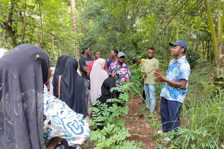Zanzibar: Organic Spice Farm Tour With Fruit Tasting