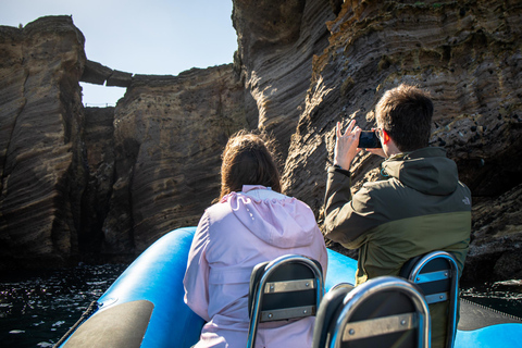 Vila Franca do Campo: Bird Watching & Snorkeling Vila Franca do Campo: Marine Birdwatching & Snorkeling