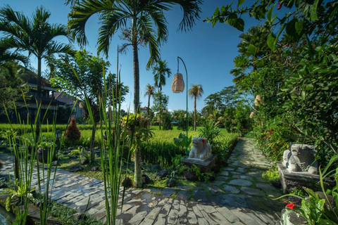 Ubud: Luxury Spa Relaxing Package with Amidst Rice Field 3 Hour Honeymoon Package Meet at Meeting Point