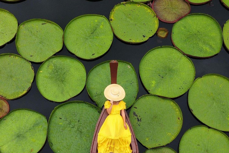 Phuket: Giant Water Lily Pond Options Drone Video+Old Town Lily Pond Group Combo Photo+Drone Video+Old Town+Khao Rang