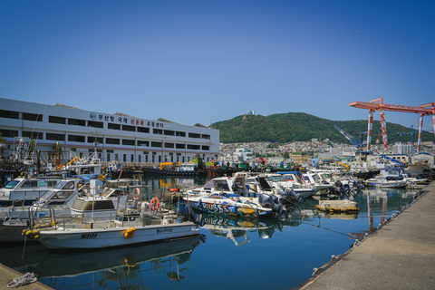 Busan: Power Walk Tour with a Local Mate