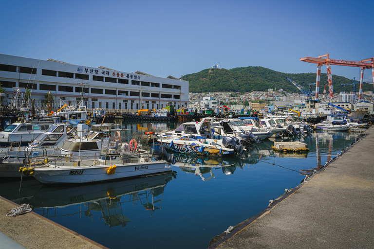Busan: Power Walk Tour with a Local Mate