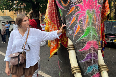 Jaipur: Stadtpass mit privatem Auto und Guide