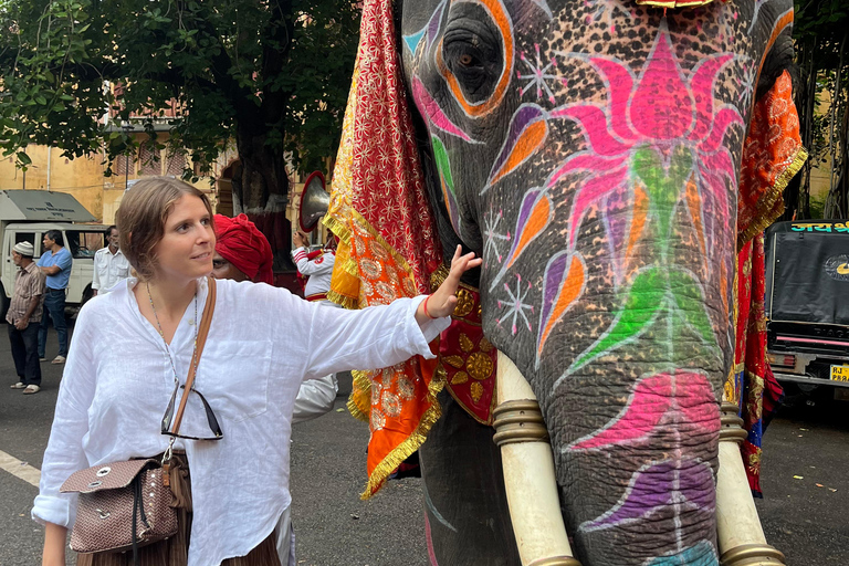 Jaipur: Stadtpass mit privatem Auto und Guide