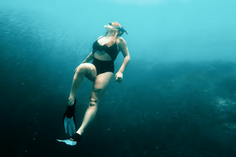 Cebú:Excursión en grupo con tiburón ballena, cascada y carrera de sardinas+Comida