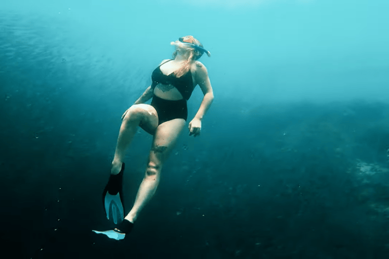 Cebú:Excursión en grupo con tiburón ballena, cascada y carrera de sardinas+Comida