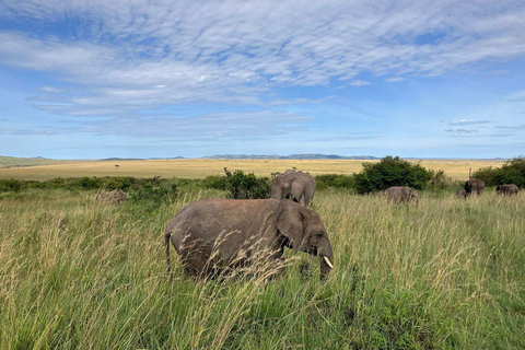 Nairobi: 3-Day epic trip to Maasai Mara Reserve with meals 3 days, 2 nights private safari to Mara in a tourist VAN
