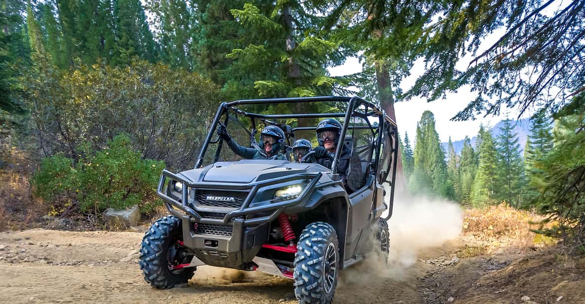 4人乗りUTVレンタル8時間 GetYourGuide