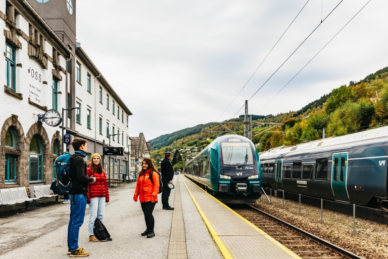 Bergen: całodniowa wycieczka z własnym przewodnikiem